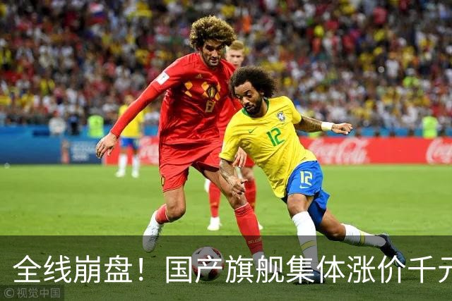 全线崩盘！国产旗舰集体涨价千元，首销最高暴跌71%