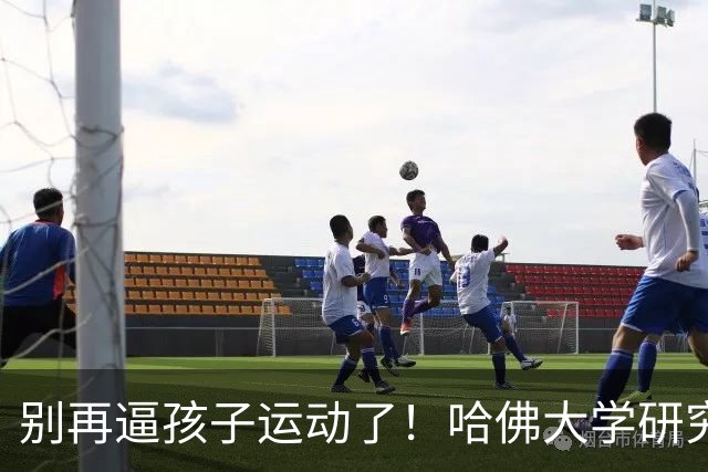 别再逼孩子运动了！哈佛大学研究发现：孩子最缺的不是篮球、游泳，而是“疯跑、打滚、爬树”等无序运动