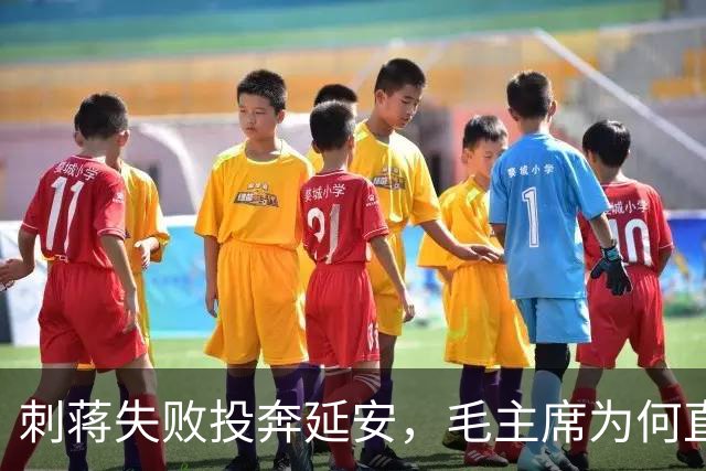 刺蒋失败投奔延安，毛主席为何直言：你绝对不能留！