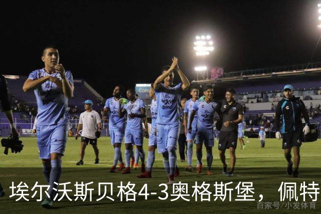 埃尔沃斯贝格4-3奥格斯堡，佩特科夫传射，主裁判四点