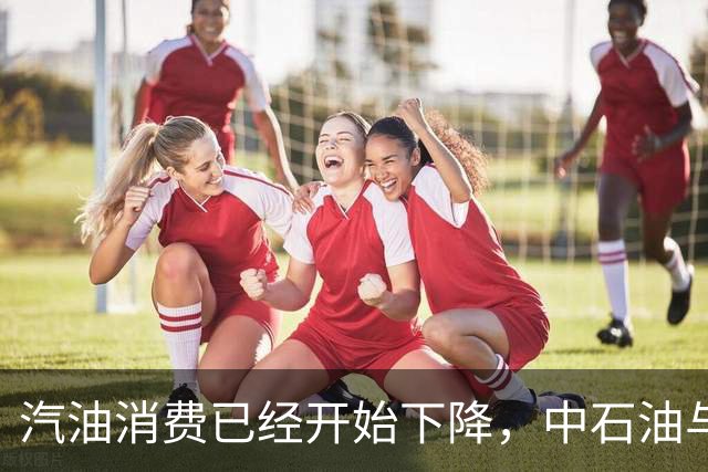 汽油消费已经开始下降，中石油与中石化为何还要大举扩建加油站？