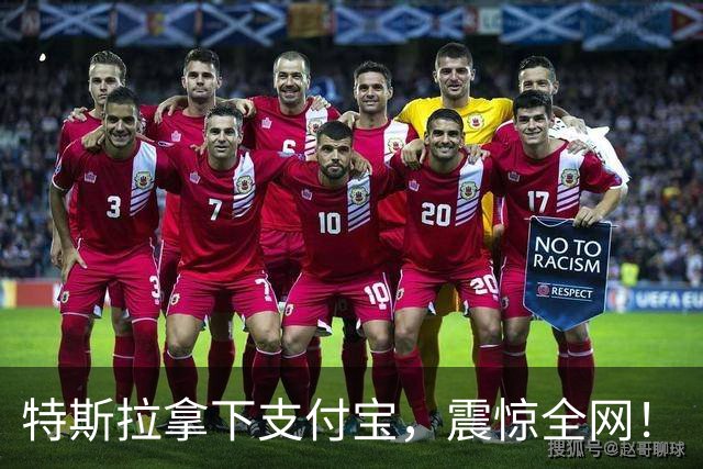 特斯拉拿下支付宝，震惊全网！
