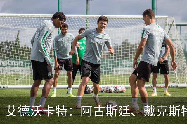 艾德沃卡特：阿古斯廷、戴克斯特拉等球员尚未决定是否为库拉索效力