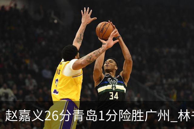 赵嘉义26分青岛1分险胜广州 林书豪8分4助攻